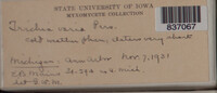 Image Associated With the Occurence